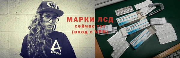 гидра Инта