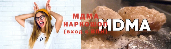 гидра Инта
