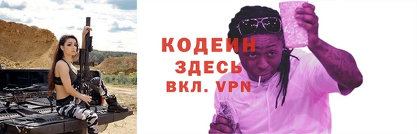 гидра Инта
