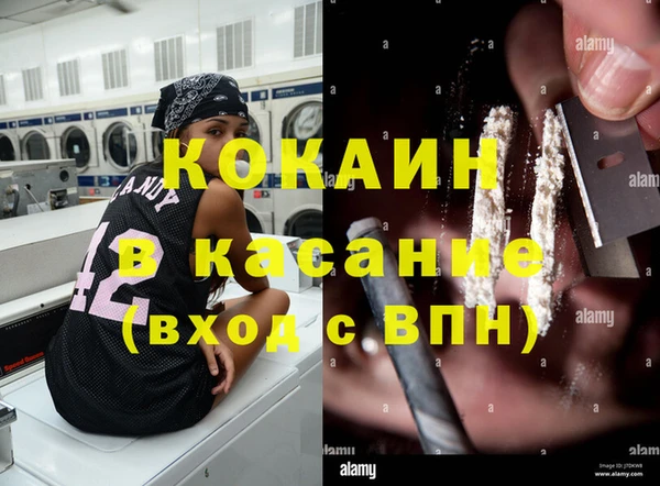 гидра Инта