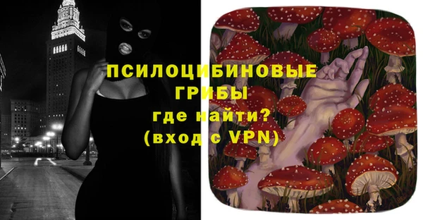 дмт Иннополис
