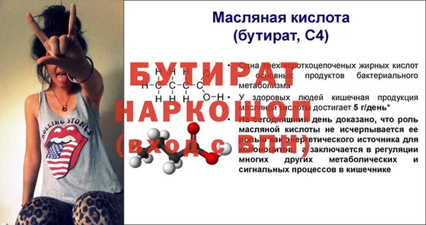 гидра Инта