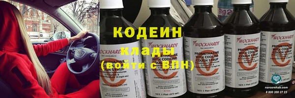 гидра Инта