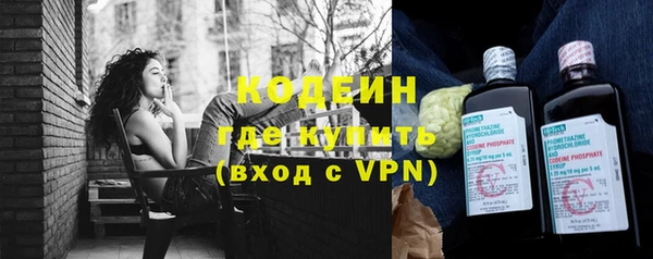 гидра Инта