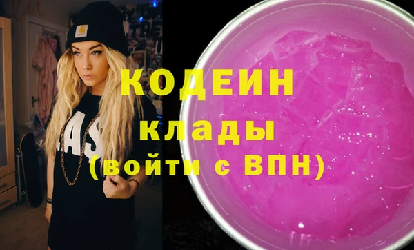 гидра Инта