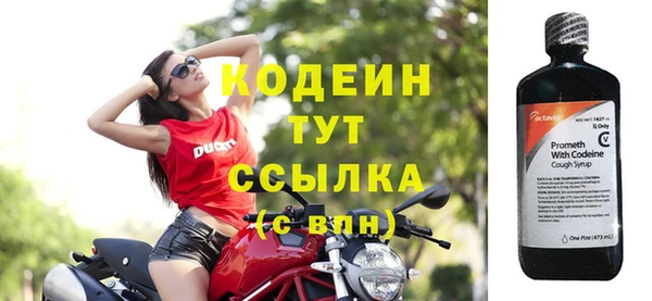 гидра Инта
