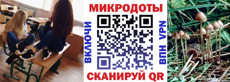 Купить  Гаджиево  Псилоцибиновые грибы MAGIC MUSHROOMS 